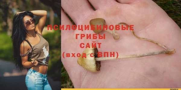 гидропоника Чита
