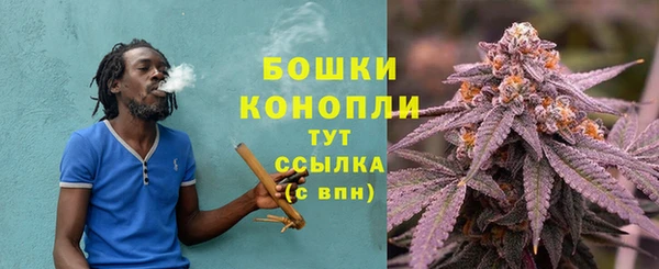 тгк Козловка